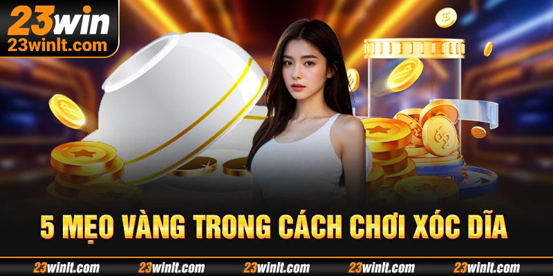 5 mẹo vàng trong cách chơi Xóc Dĩa